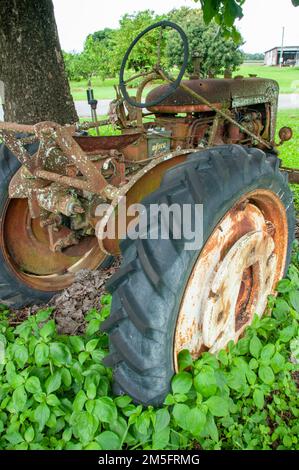 Old Tractor in field, Ingham, Queensland, Australie. Banque D'Images