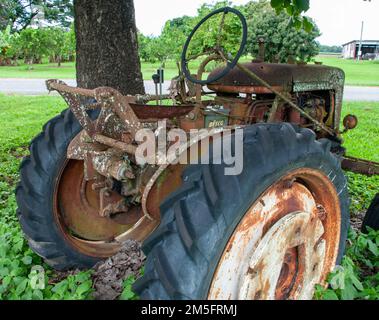 Old Tractor in field, Ingham, Queensland, Australie. Banque D'Images