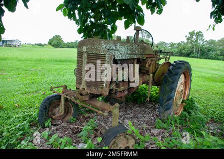 Old Tractor in field, Ingham, Queensland, Australie. Banque D'Images