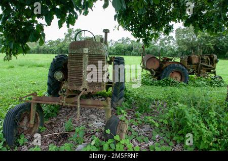 Old Tractor in field, Ingham, Queensland, Australie. Banque D'Images