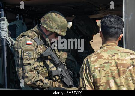 ÉTATS-UNIS Les parachutistes s'entraînent avec des alliés polonais à l'aide d'un FAUCON noir UH-60 lors d'un entraînement à charge froide à Bircza, en Pologne, au 15 mars 2022. La 82nd Airborne Division, basée à fort Bragg, en Caroline du Nord, s'entraîne aux côtés de leurs alliés polonais pour accroître l'interopérabilité et assurer à nos alliés le renforcement de notre Alliance. Banque D'Images