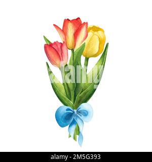 Bouquet de tulipes de couleur jaune et rouge avec noeud bleu sur fond blanc. Illustration de dessin à main aquarelle. Art pour la décoration et le design de printin Banque D'Images