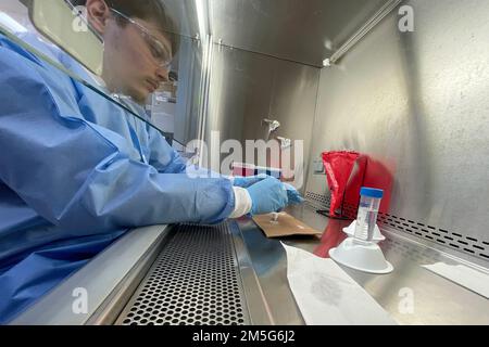 SILVER SPRING, Md (16 mars 2022) – Joseph Salzo, un assistant de recherche du Centre de recherche médicale navale (NMRC) prépare des disques pour la culture de bactéries dans le laboratoire de la Division des infections des plaies de combat. La Division des infections des plaies de combat, qui fait partie du département des infections opérationnelles du CNMV, élabore et évalue de nouveaux traitements pour combattre les infections de la peau et des tissus mous liées aux blessures associées aux organismes multirésistants. Banque D'Images