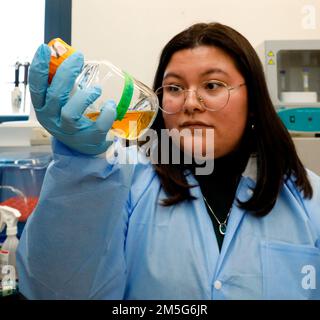 SILVER SPRING, Md (16 mars 2022) – Ashley Miller, assistante de recherche au Centre de recherche médicale navale (NMRC), examine une solution pour les bactéries dans le laboratoire de la Division des infections des plaies de combat. La Division des infections des plaies de combat, qui fait partie du département des infections opérationnelles du CNMV, élabore et évalue de nouveaux traitements pour combattre les infections de la peau et des tissus mous liées aux blessures associées aux organismes multirésistants. Banque D'Images