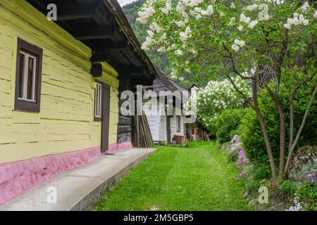 Maisons en bois peintes en couleurs dans le village de Vlkolinec, site classé au patrimoine mondial de l'UNESCO, Ruzomberok, Zilinsky kraj, Slovaquie Banque D'Images