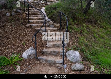 Des escaliers serpentent une colline dans la forêt Banque D'Images