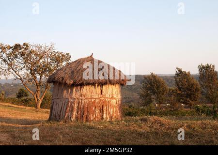 Maasai Hut au soleil du matin (mise au point manuelle) Banque D'Images