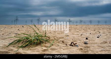 Vue sur les éoliennes de la mer du Nord sur une plage près de Teesside dans le Yorkshire Banque D'Images