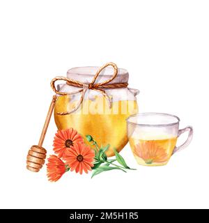 Pot à miel et verre avec thé à la calendula. Illustration aquarelle isolée sur fond blanc Banque D'Images