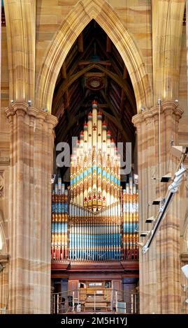 Sydney. Nouvelle-Galles du Sud. Australie. La pipe d'orgue à St. Cathédrale d'Andrew Banque D'Images