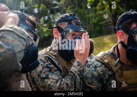 A ÉTATS-UNIS Marine avec 2nd Bataillon, 7th Marine Regiment, 1st Marine Division, met son masque à gaz sur l'événement culminant d'un cours d'instructeur d'arts martiaux au Camp Schwab, Okinawa, Japon, 17 mars 2022. Le cours MAÏ du corps des Marines comprenait trois semaines d'entraînement, dont un combat manuel, une instruction d'ethos guerrier, un travail de combat et un entraînement d'armes de secours. Les MAÏ certifient les Marines pour former et tester d’autres Marines à divers niveaux de la ceinture du Programme des arts martiaux du corps des Marines, ce qui augmente leurs capacités physiques et leur état de préparation. Banque D'Images