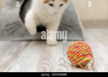 jouet pour un chat sous forme de balle tricotée Banque D'Images