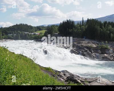 Cascade de Laksforsen sur la rivière Vefsna, dans le village européen de Grane dans la région du Nordland en Norvège, ciel bleu clair en 2019 chaude et ensoleillée jour d'été le juillet. Banque D'Images