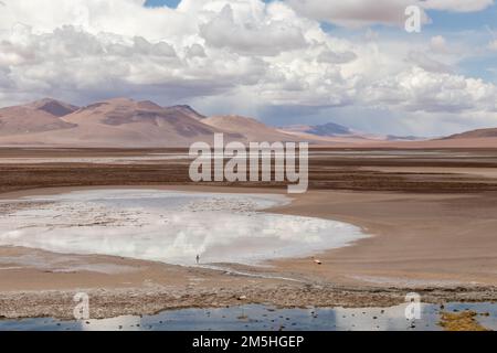 Effet miroir en eau blanche sur la zone humide de la rivière Quepiaco au milieu du désert d'Atacama, à la frontière du Chili avec la Bolivie Banque D'Images