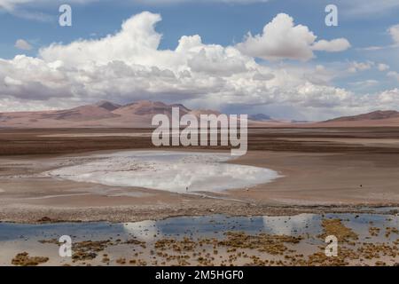 Effet miroir en eau blanche sur la zone humide de la rivière Quepiaco au milieu du désert d'Atacama, à la frontière du Chili avec la Bolivie Banque D'Images