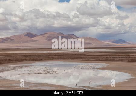 Effet miroir en eau blanche sur la zone humide de la rivière Quepiaco au milieu du désert d'Atacama, à la frontière du Chili avec la Bolivie Banque D'Images