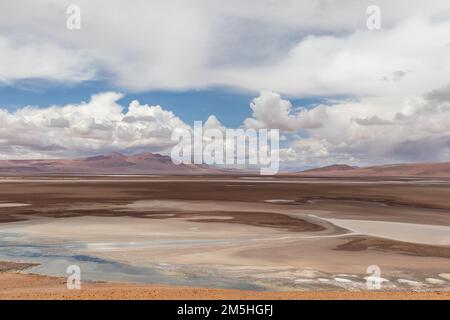 Zone humide de la rivière Quepiaco au milieu du désert d'Atacama à la frontière du Chili avec la Bolivie Banque D'Images