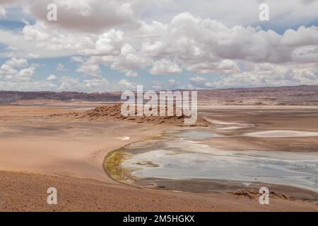 Zone humide de la rivière Quepiaco au milieu du désert d'Atacama à la frontière du Chili avec la Bolivie Banque D'Images