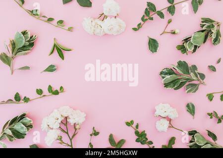 Cadre floral fait de fleurs roses blanches avec feuilles à feuilles persistantes sur fond rose. Pose à plat Banque D'Images