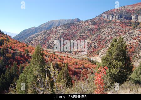 Chemin panoramique de Logan Canyon - vue de début de Logan Canyon. À l'extrémité de Spring Hollow du sentier Crimson Trail dans le Logan Canyon, le chemin panoramique du Logan Canyon peut être vu au pied des parois du canyon couvertes de feuillage d'automne rouge et orange. Emplacement : Crimson Trail, forêt nationale Logan-Wasatch, Utah (41,809° N 111,627° O) Banque D'Images