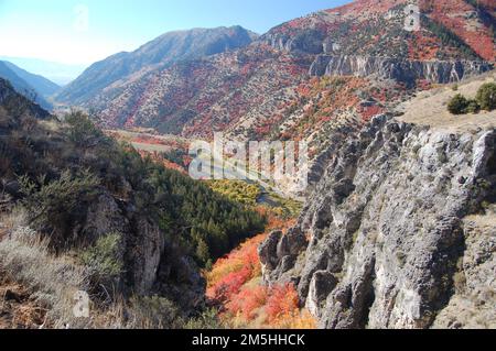 Logan Canyon Scenic Byway - Logan Canyon à partir de la piste de Crimson. La Logan River et le Logan Canyon Scenic Byway longent le fond de Logan Canyon jusqu'à cache Valley en cette vue d'automne depuis le haut du mur de Chine sur la piste de cramoisi. Emplacement : Logan Canyon, Wasatch-cache National Forest, Utah (41,758° N 111,718° O) Banque D'Images