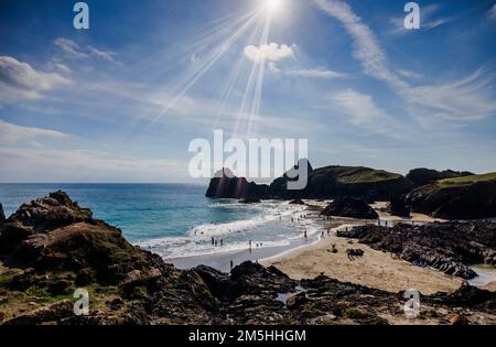 Vue de l'après-midi sur la plage et les falaises silhouetées de Kynance Cove, sur la péninsule de Lizard, sur la côte sud de Cornwall, au sud-ouest de l'Angleterre Banque D'Images