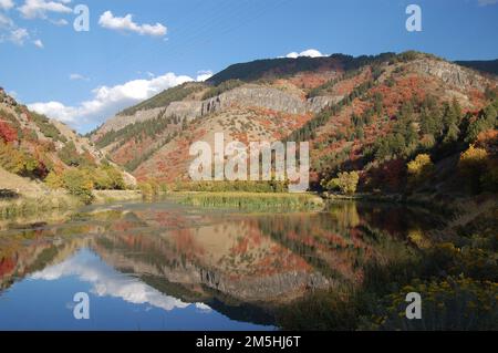 Logan Canyon Scenic Byway - troisième barrage en automne. Les pentes du Logan Canyon, couvertes de temples rouges brillants, se reflètent dans les eaux tranquilles du troisième barrage. Emplacement : troisième barrage, forêt nationale Logan Canyon-Wasatch, Utah (41,753° N 111,719° O) Banque D'Images