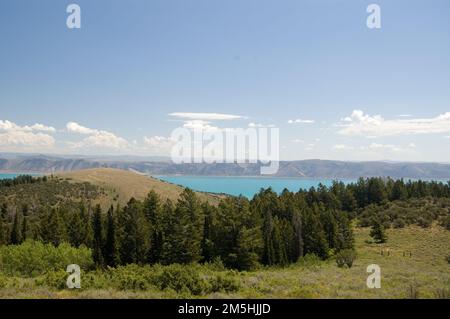 Chemin panoramique de Logan Canyon - vue sur Bear Lake depuis la zone de repos. Vu de la zone de repos, les eaux bleues brillantes du lac Bear ont un aperçu à travers d'épaisses peuplements d'arbres. Lieu: Wasatch-cache National Forest, Utah (41,924° N 111,468° O) Banque D'Images