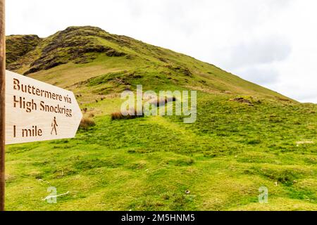 High Snockrigg, Whinlatter Pass, Cumbria, Royaume-Uni, Angleterre, mountain Pass, Whinlatter Pass UK, Whinlater Pass Cumbria, Cumbrian, High Snockrigg Sign Banque D'Images