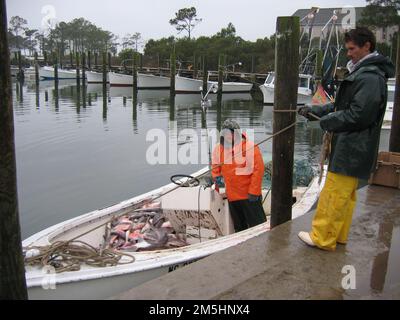 Outer Banks Scenic Byway - Harkers Island Fisheries and Harbour. De jeunes pêcheurs se nouent dans le port de l'île Harkers le long de la route panoramique Outer Banks pour livrer une charge de poisson à un acheteur en attente. En arrière-plan, les eaux sombres du port reflètent une ligne de petites skiffs en bois peints en blanc. Emplacement: Harkers Island, Caroline du Nord (34,688° N 76,536° O) Banque D'Images