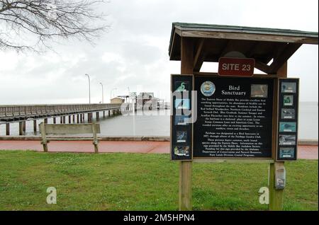 Alabama's Coastal Connection - à propos du sanctuaire d'oiseaux par Fairhope Pier. Un panneau d'interprétation couvert pour le site 23 sur la piste de Birding côtière de l'Alabama décrit les possibilités d'observation des oiseaux sur la côte est. Fairhope Pier atteint Mobile Bay derrière le panneau et une maison Martin pourpre se tient dans l'eau. Emplacement : Fairhope, Alabama (30,524° N 87,912° O) Banque D'Images