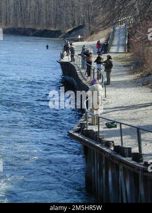 Chemin pittoresque de River Road - pêche de printemps sous le barrage de Foote. Les pêcheurs se penchent sur les rampes pour essayer de pêcher un poisson à la truite arc-en-ciel au barrage hydroélectrique de Foote. Emplacement : barrage Foote, Ausable River, Michigan Banque D'Images