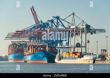 Grands navires à conteneurs et installations portuaires dans un terminal à conteneurs de Tollerort, dans la zone portuaire de Hambourg, en Allemagne Banque D'Images