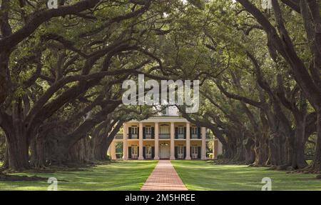 Great River Road - Oak Alley Plantation. Un chemin de chênes vivants vieux de 300 ans crée une arche jusqu'à l'avant de la plantation Oak Alley, l'une des nombreuses maisons d'avant-guerre restaurées sur la Great River Road de Louisiane. Vacherie, Louisiane (30,004° N 90,775° O) Banque D'Images