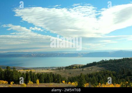 Logan Canyon Scenic Byway - superbe ciel au-dessus de Logan Canyon. Un ciel bleu brillant couvre des arbres jaune vif et vert foncé sur Logan Canyon Scenic Byway. Emplacement : (41,932° N 111,432° O) Banque D'Images