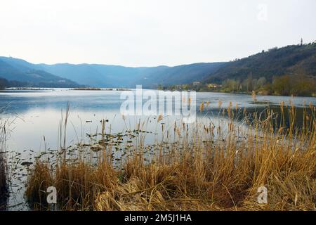 Vue sur le lac de Fimon près de Vicenza, Italie, 18 mars 2022. Le lac de Fimon est une zone protégée et abrite des centaines d'espèces végétales et animales. Des études montrent que passer du temps dans la nature peut aider à construire et à maintenir la résilience psychologique et la préparation. Le lac Fimon s'est formé à la fin de la troisième phase de l'âge de la glace quaternaire et a subi des changements majeurs arrivant à sa forme réelle. (ÉTATS-UNIS Photos de l'armée par Paolo Bovo) Banque D'Images