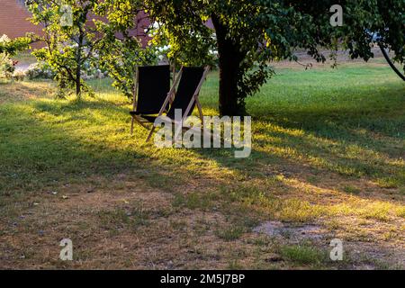 Deux chaises longues se tiennent sous un arbre à la lumière du soleil levant Banque D'Images