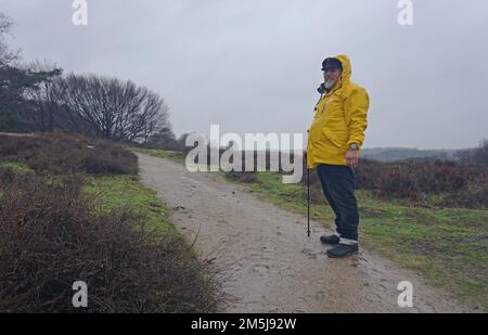 Un homme âgé marche à l'extérieur dans une lande le jour de la pluie. Il porte un imperméable jaune sur ses vêtements. La zone de la lande est bien connue dans la Neth Banque D'Images