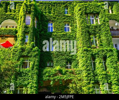 Façade couverte de lierre d'un immeuble résidentiel à Regensburger Str., quartier de Schöneberg, Berlin, Allemagne Banque D'Images