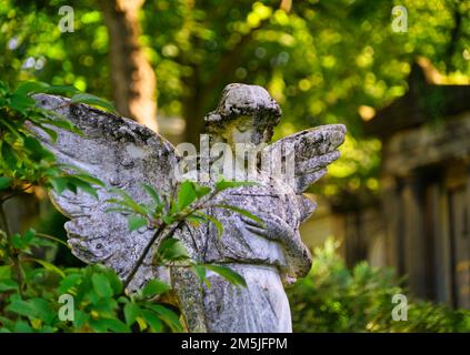 Deutschland, Berlin Schöneberg, Alter St-Matthäus-Friedhof, Engel Banque D'Images