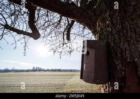 Une vieille ruche accrochée à un arbre près d'un champ en hiver. Banque D'Images