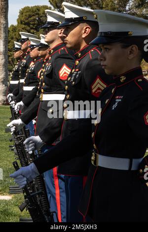 Marines de l'assistance sur site Phoenix préforme un hommage à 21 armes à feu en l'honneur du lieutenant-colonel David Althoff (retraité), à la Mortugue et cimetière de la Vallée du Soleil, Chandler Arizona, 21 mars 2022. Althoff a servi de pilote pendant la guerre du Vietnam et a effectué plus de 1 000 missions de combat. Il a été récompensé pour avoir sauvé des centaines de Marines qui ont été grièvement blessés au combat et qui ont reçu trois étoiles d'argent, trois croix volantes distingueuses, une étoile de bronze, une médaille de service méritoire et 55 médailles de l'air. Banque D'Images