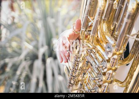 PHOENIX ARIZONA (21 MARS 2022) Navy Band Southwest (NBSW) Brass Quintet donne un concert au zoo de Phoenix. Banque D'Images