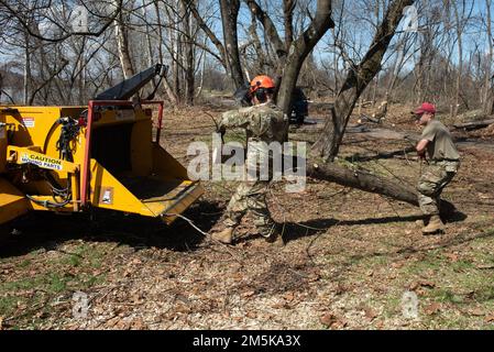 Les aviateurs du 201st RED HORSE Squadron de la Garde nationale aérienne de Pennsylvanie, prennent une branche à un hespérier du bois, 21 mars 2022, à Harrisburg, en Pennsylvanie. Le 201st prépare des terres près de l'édifice du ministère des Transports de Pennsylvanie pour le Veterans Outreach de Pennsylvanie. Le site sera une petite communauté de 15 maisons et un centre communautaire pour les anciens combattants sans abri dans la région de Harrisburg. (Relâché) Banque D'Images