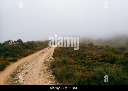 Chemin dans la brume. La voie Saint-Jacques entre Foncebadón et Ponferrada mène à travers les landes sur une chaîne de montagnes. Souvent, les nuages s'accumulent dans les parties supérieures du sentier. Banque D'Images