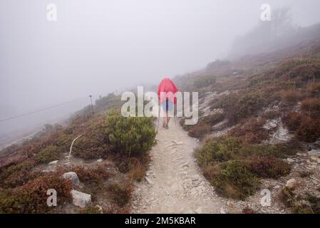 Un pèlerin dans la brume sur la voie Saint-Jacques en route sur la chaîne de montagnes entre Foncebadón et Ponferrada. Banque D'Images