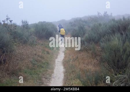 Un pèlerin dans la brume sur la voie Saint-Jacques en route sur la chaîne de montagnes entre Foncebadón et Ponferrada. Banque D'Images