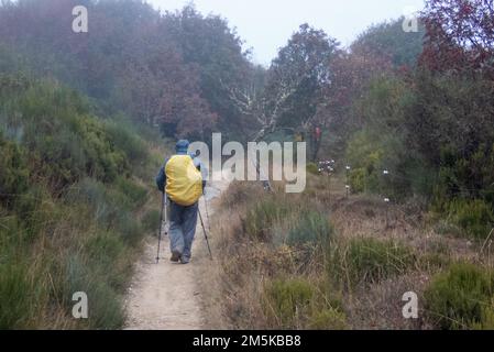 Un pèlerin dans la brume sur la voie Saint-Jacques en route sur la chaîne de montagnes entre Foncebadón et Ponferrada. Banque D'Images