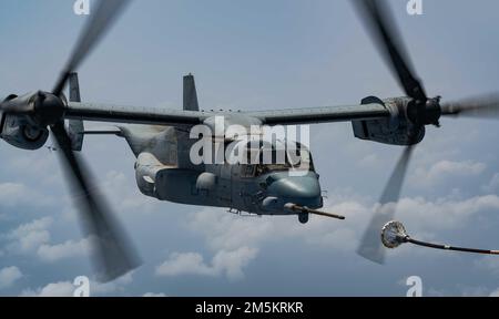 Un avion de tiltrotor MV-22B Osprey de l'escadron de Tiltrotor de milieu marin 161 (VMM-161), se prépare à recevoir du carburant d'un KC-130J affecté à l'escadron de transport de remireur aérien marin 352 (VMGR-352) au-dessus du camp Lemonnier, à Djibouti (24 mars 2022). Les avions Osprey et KC-130J ont participé à un vol de formation aux côtés de la Force aérienne française Dassault Mirage 2000s. Le partenariat entre les États-Unis et la France en Afrique repose sur des intérêts de sécurité mutuels et des valeurs communes de démocratie, de liberté individuelle et de primauté du droit. Banque D'Images