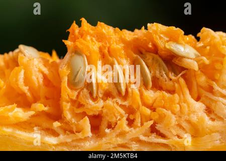 Citrouille, courge ou Muscade de Provence, Muscat de Provence la citrouille, couper avec la pâte et les graines Banque D'Images